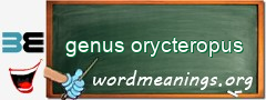 WordMeaning blackboard for genus orycteropus